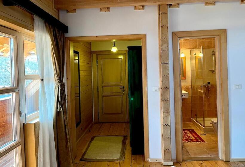 חדר סטנדרט עם מרפסת, Pensiunea Iza