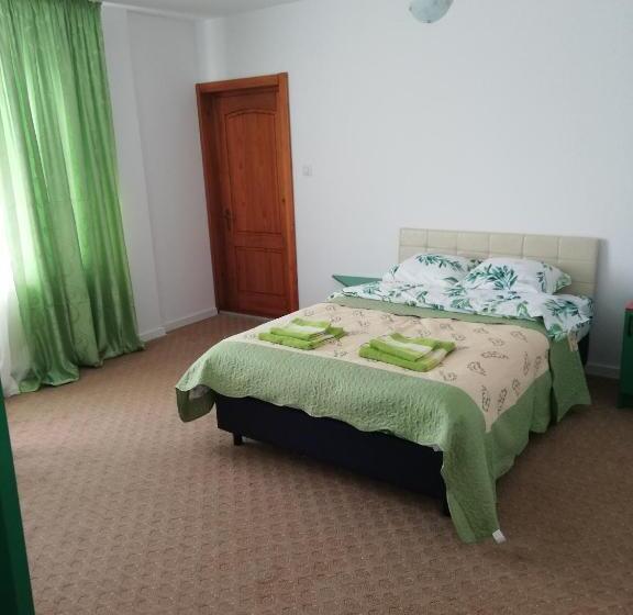 غرفة قياسية مطلة على الجبل, Pensiunea La Safari