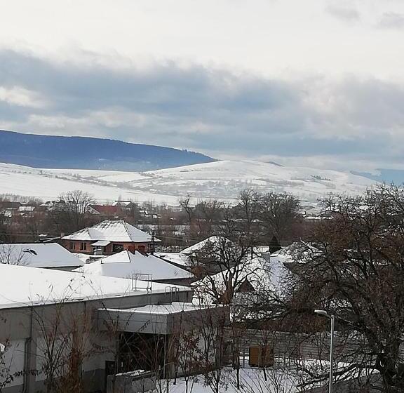 غرفة قياسية مطلة على الجبل, Pensiunea La Safari