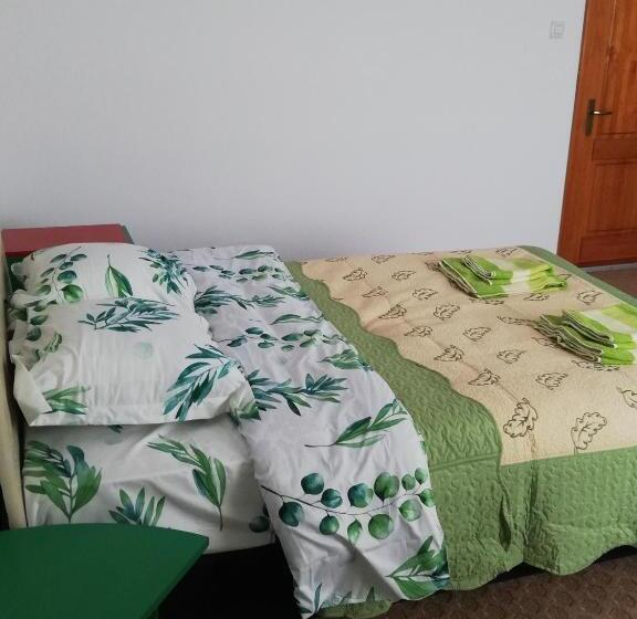 غرفة قياسية مطلة على الجبل, Pensiunea La Safari