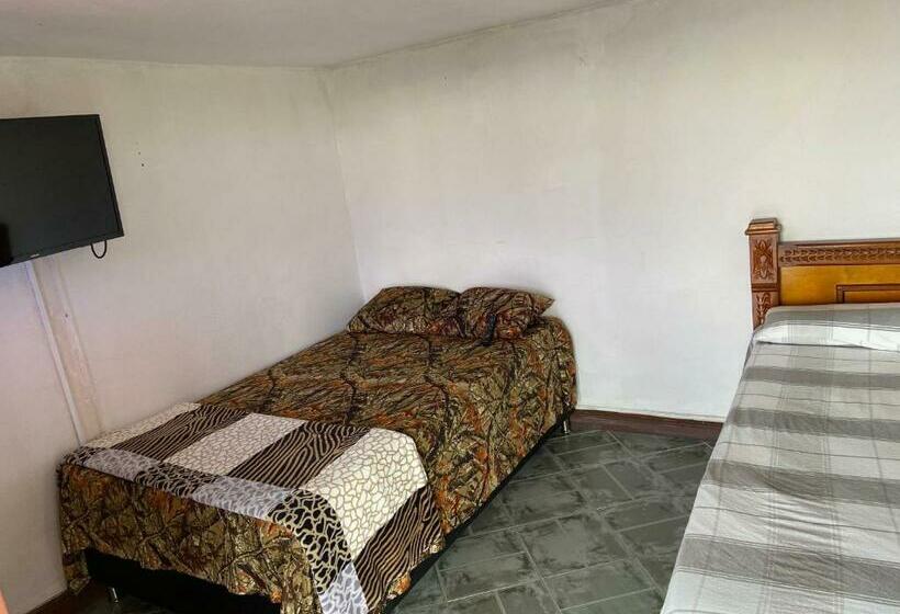 Номер Стандарт Индивидуальный, Hostal Hollywood Inn Ii