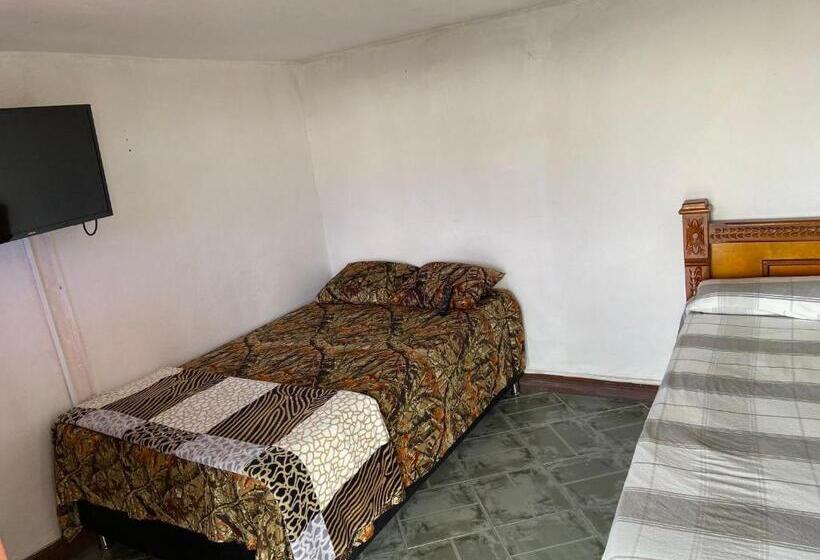 اتاق استاندارد, Hostal Hollywood Inn Ii