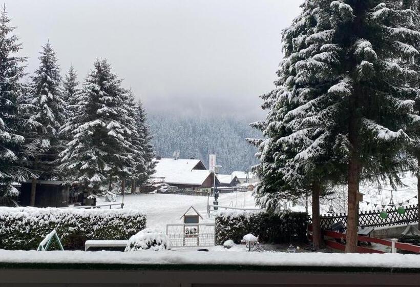 带1个卧室的公寓, Molltaler Appartements En B&b