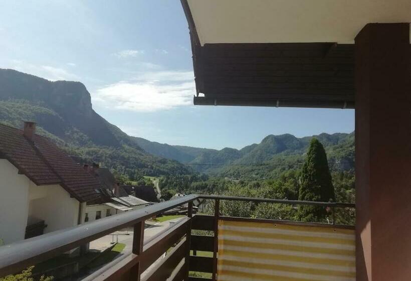 اتاق خانوادگی با چشمانداز کوه, Room Panorama