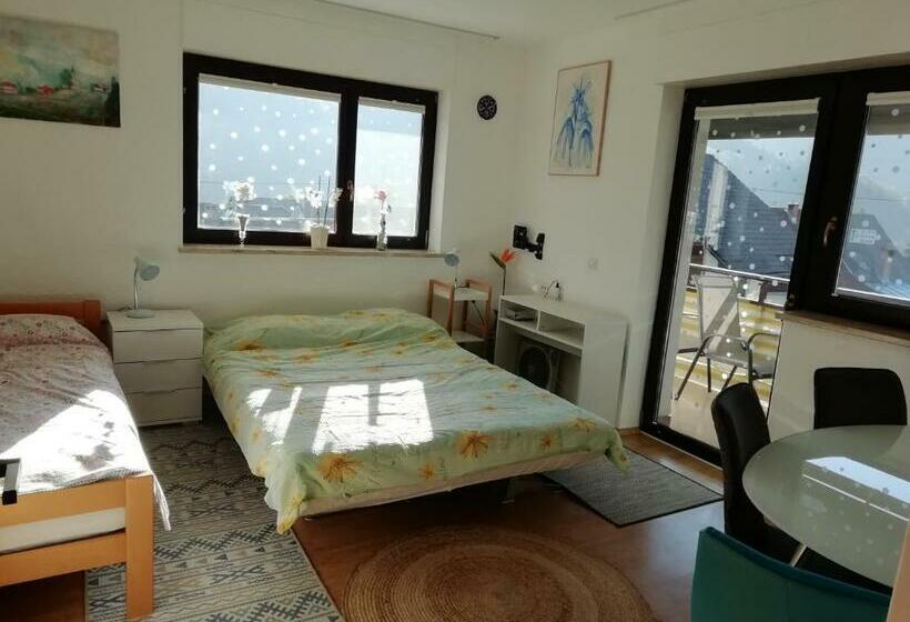 اتاق خانوادگی با چشمانداز کوه, Room Panorama