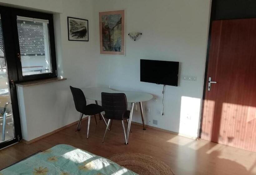 اتاق خانوادگی با چشمانداز کوه, Room Panorama