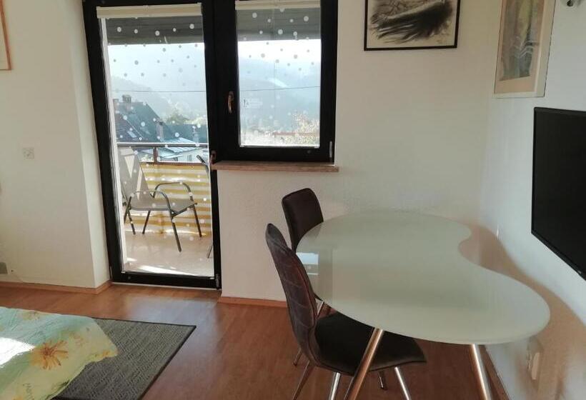 اتاق خانوادگی با چشمانداز کوه, Room Panorama