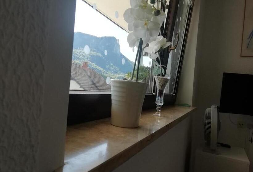 اتاق خانوادگی با چشمانداز کوه, Room Panorama