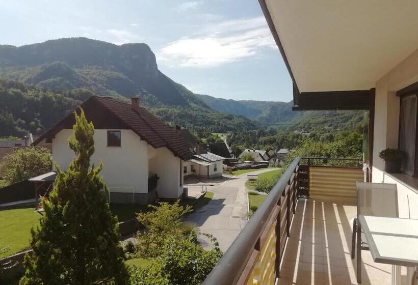 اتاق خانوادگی با چشمانداز کوه, Room Panorama