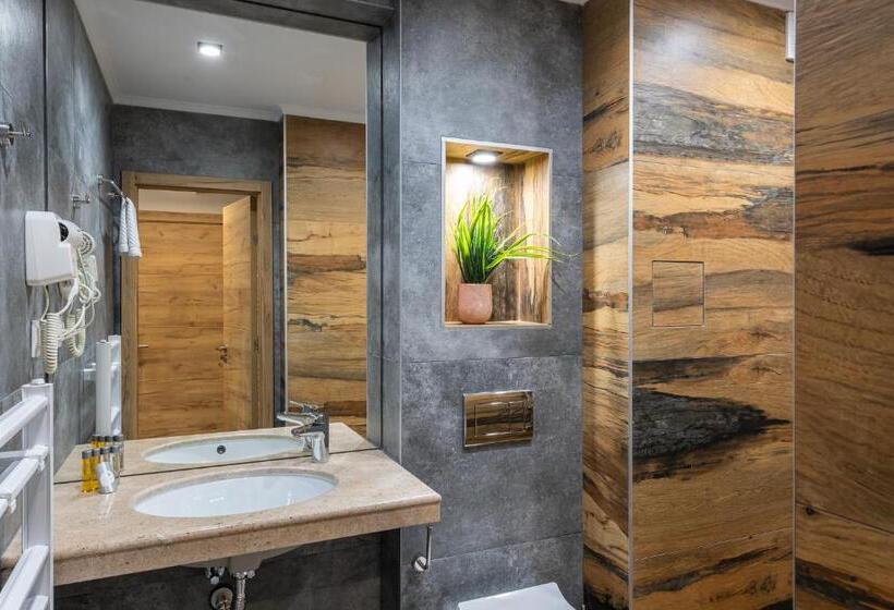 バルコニー付きスタンダードルーム, хотел камъните