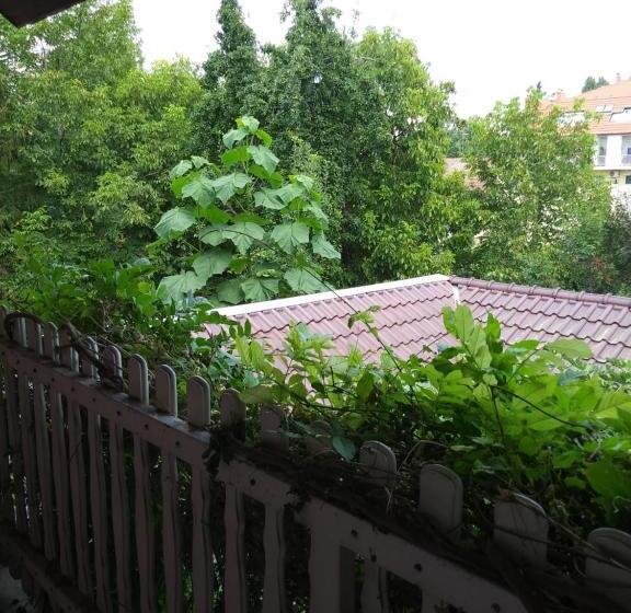 اتاق استاندارد با بالکن, Balogh Vendegház