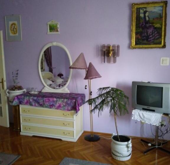 اتاق خانوادگی, Balogh Vendegház