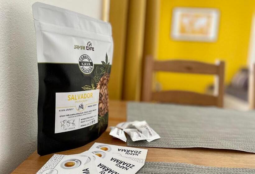 家庭套房, Penzion U Přehrady