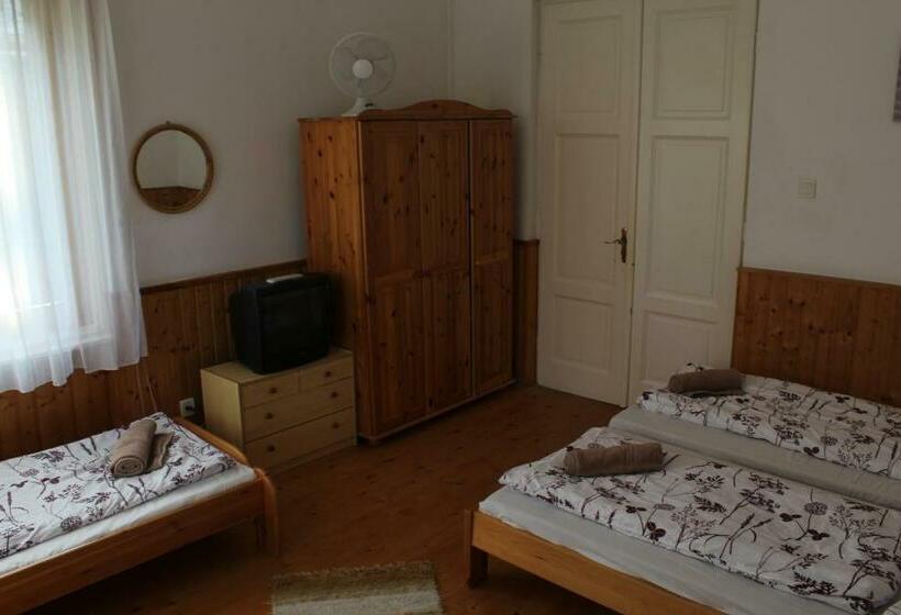 آپارتمان 1 خوابه همکف, Vicze Apartmanház