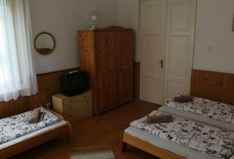 １階の１ベッドルームアパートメント, Vicze Apartmanház