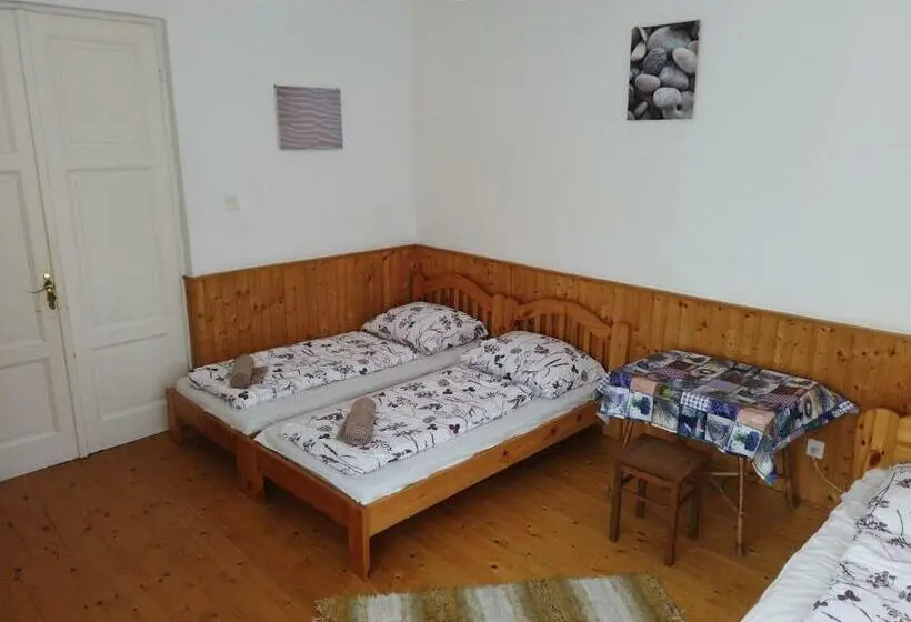 １階の１ベッドルームアパートメント, Vicze Apartmanház