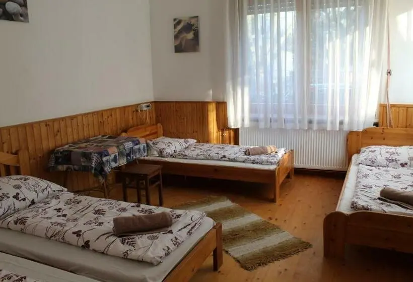 １階の１ベッドルームアパートメント, Vicze Apartmanház