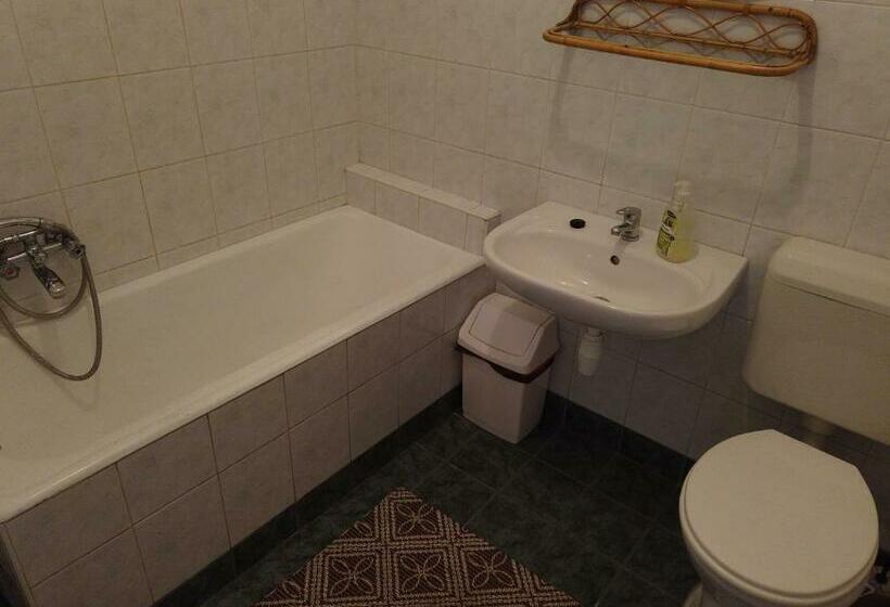 1베드룸 아파트 1층, Vicze Apartmanház