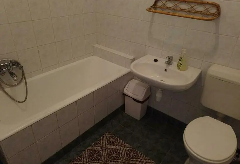 １階の１ベッドルームアパートメント, Vicze Apartmanház