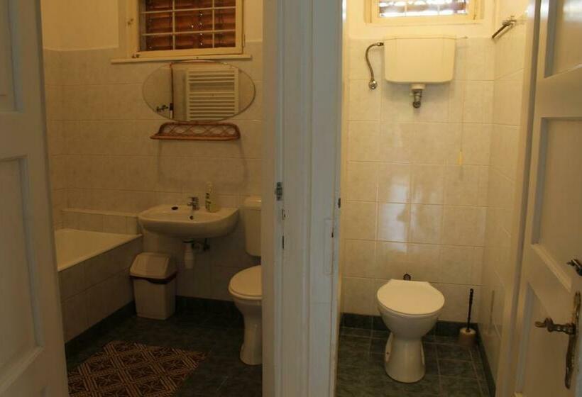 آپارتمان 1 خوابه همکف, Vicze Apartmanház