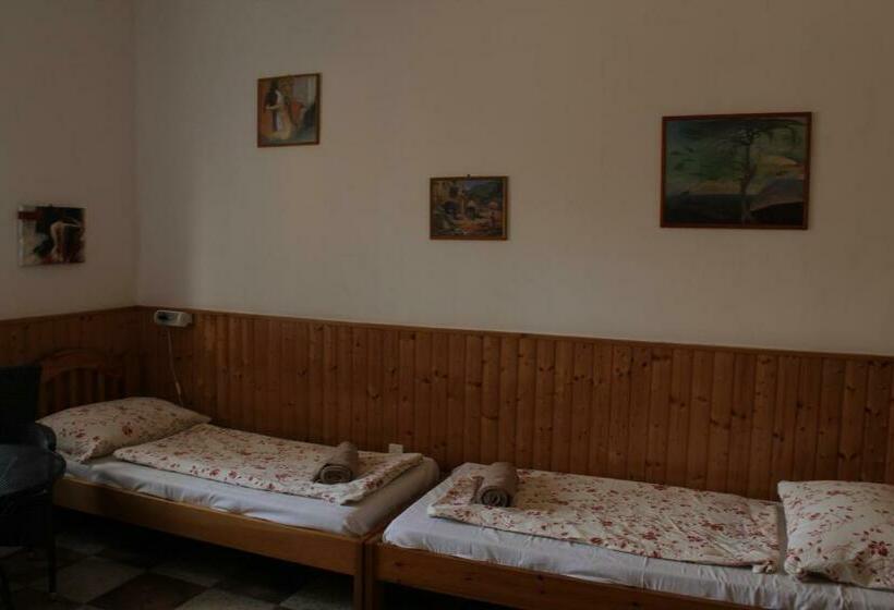 1베드룸 아파트 1층, Vicze Apartmanház