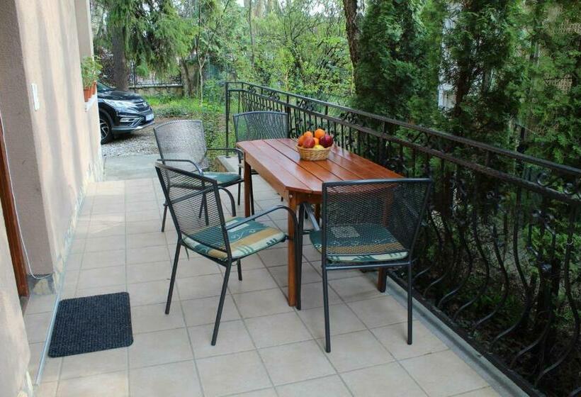 آپارتمان 1 خوابه همکف, Vicze Apartmanház
