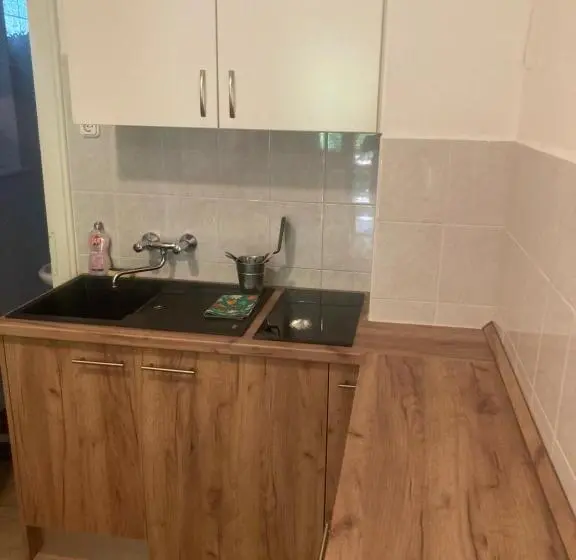 テラス付きスタンダードルーム, Vicze Apartmanház
