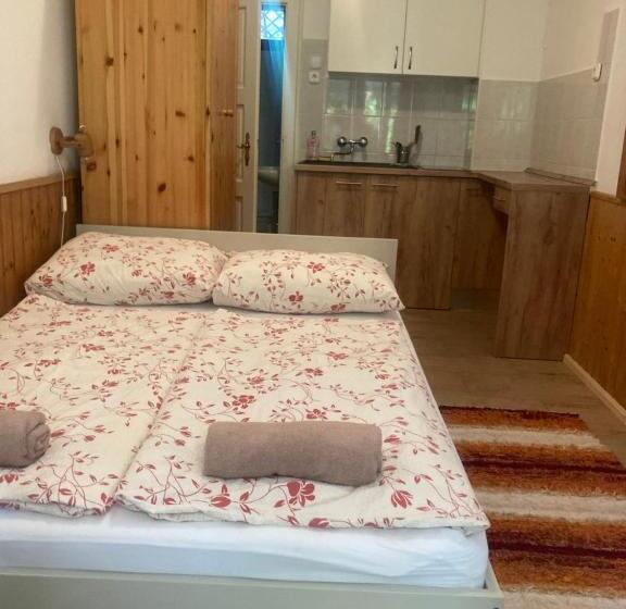 스탠다드 테라스 룸, Vicze Apartmanház