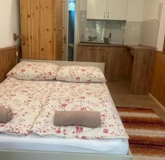 テラス付きスタンダードルーム, Vicze Apartmanház