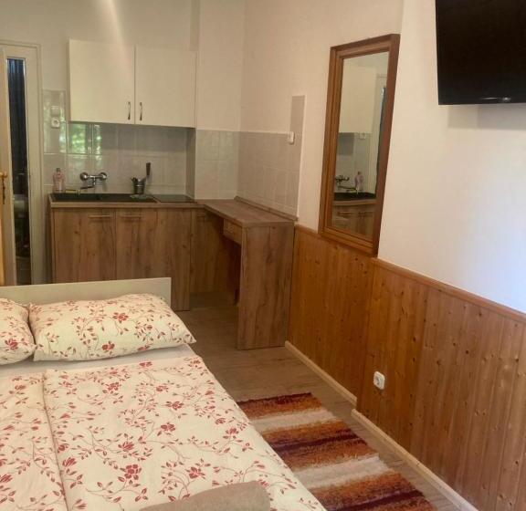 스탠다드 테라스 룸, Vicze Apartmanház