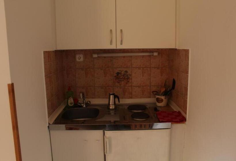 스탠다드 룸 가든 전망, Vicze Apartmanház