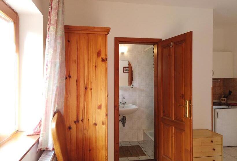 스탠다드 룸 가든 전망, Vicze Apartmanház