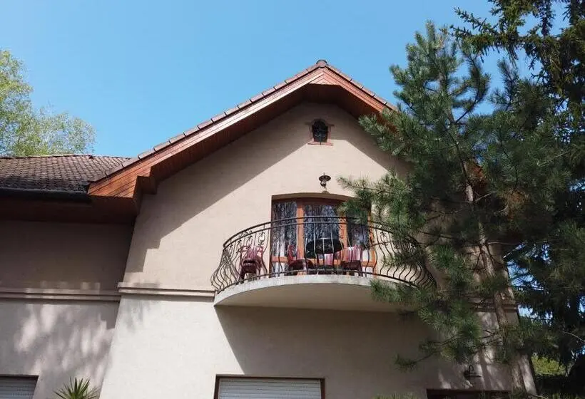 バルコニー付き１ベッドルームアパートメント, Vicze Apartmanház