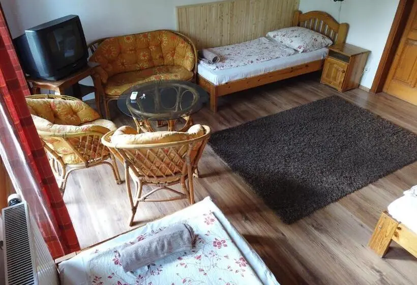 バルコニー付き１ベッドルームアパートメント, Vicze Apartmanház
