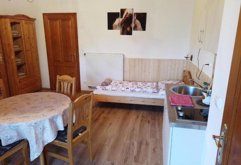 آپارتمان 1 خوابه با بالکن, Vicze Apartmanház