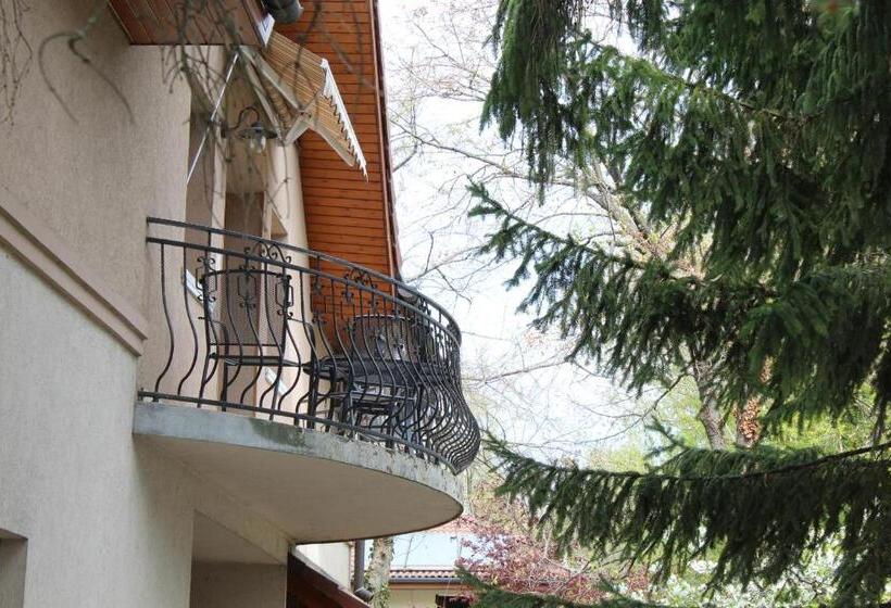 اتاق خانوادگی, Vicze Apartmanház