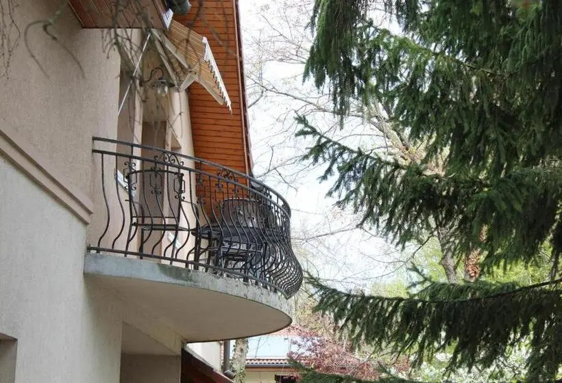 ファミリールーム, Vicze Apartmanház