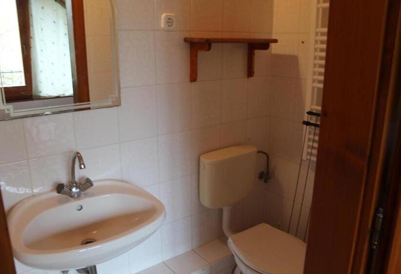 스탠다드 룸, Vicze Apartmanház