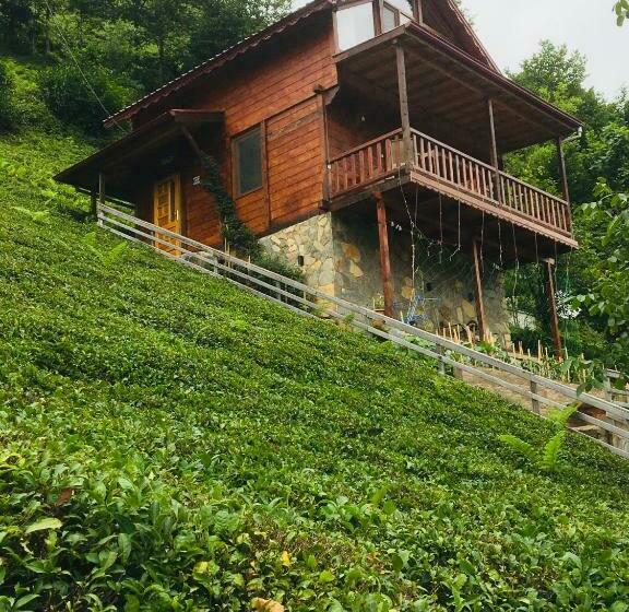 シャレー1寝室, Vadi Dağ Evi Bungalov