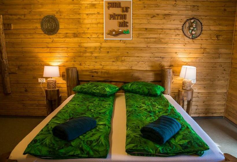 带大床的标准间, șura Lu  Pătru