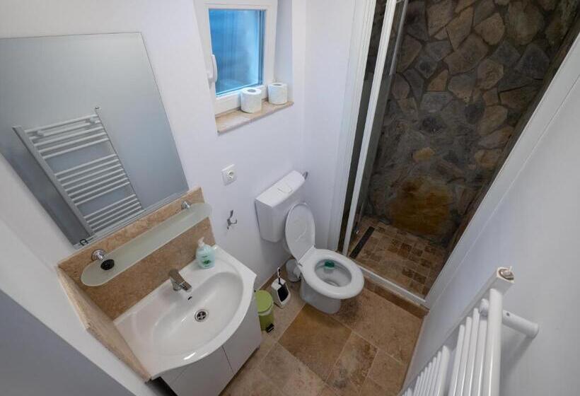 带大床的标准间, șura Lu  Pătru