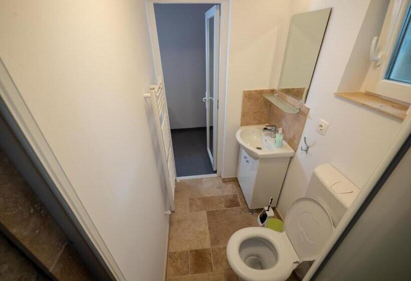 带大床的标准间, șura Lu  Pătru