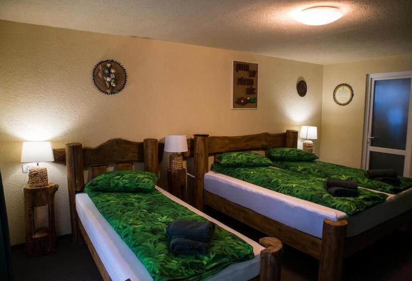 标准间, șura Lu  Pătru