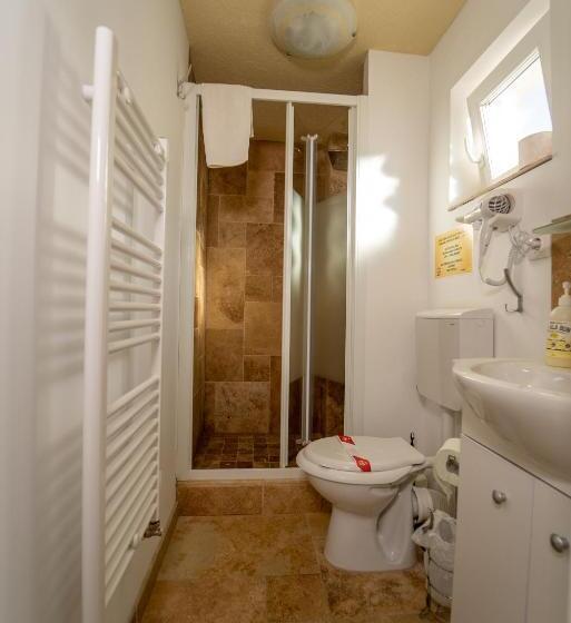 带大床的标准间, șura Lu  Pătru