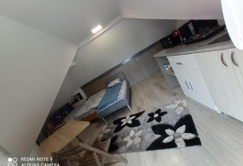 اتاق خانوادگی, Casa Rool