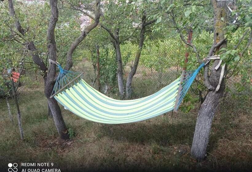 اتاق خانوادگی, Casa Rool