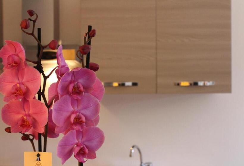 חדר סטודיו סטנדרד, Tramonti Green