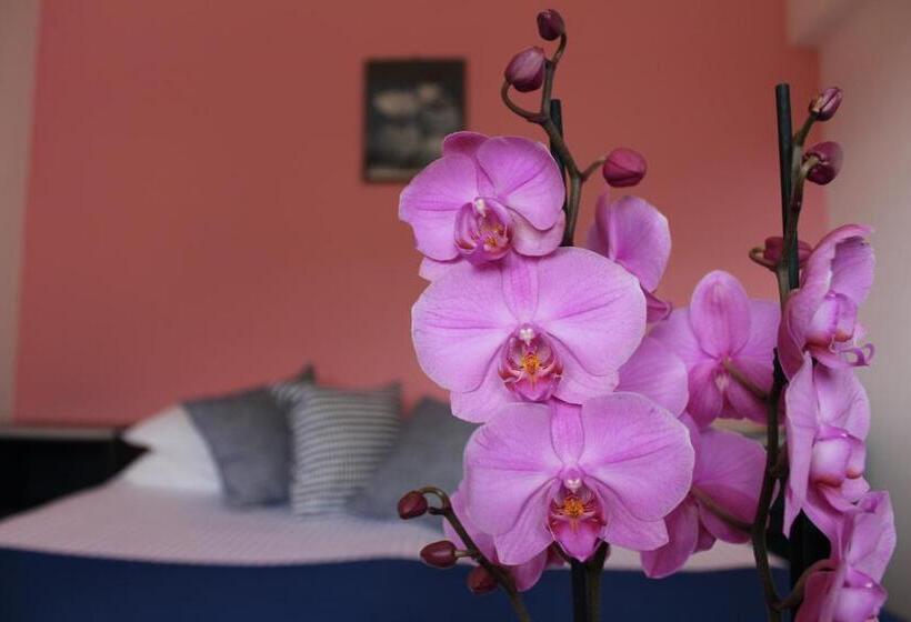 חדר סטודיו סטנדרד, Tramonti Green