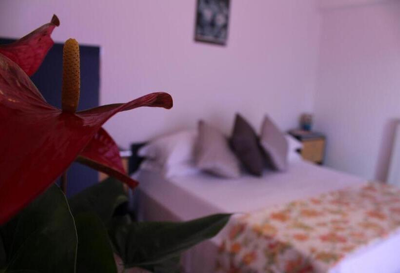 דירת שני חדרים, Tramonti Green