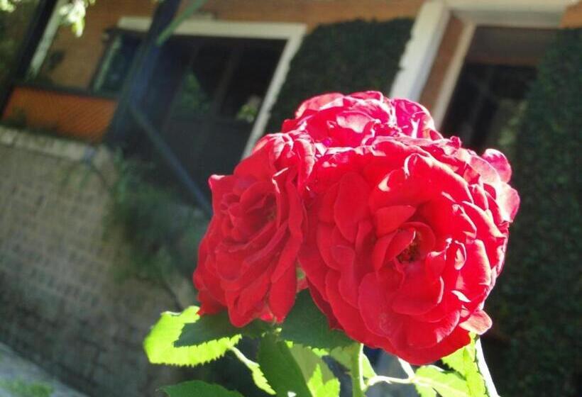 4인용 스탠다드 룸, Bougainville